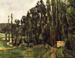 Paul Cezanne Poplar Trees oil painting image